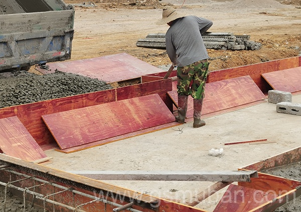 松桉木建筑模板需要多少錢?桉木模板哪些好? 松桉木建筑模板需要多少錢?桉木模板哪些好?