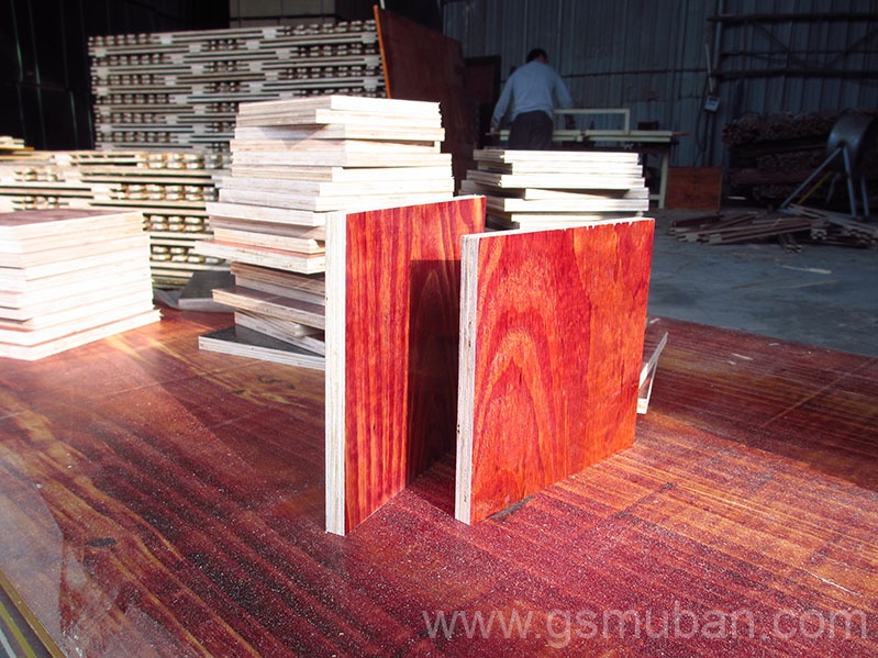 建筑模板廠家怎么選?10年采購經理的避坑秘籍